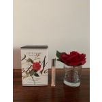 Rosa "French Roses" - Image 2